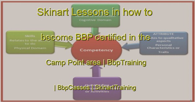 Skinart Lessons in how to become BBP certified in the Camp Point area | BbpTraining | BbpClasses | SkinartTraining-United States